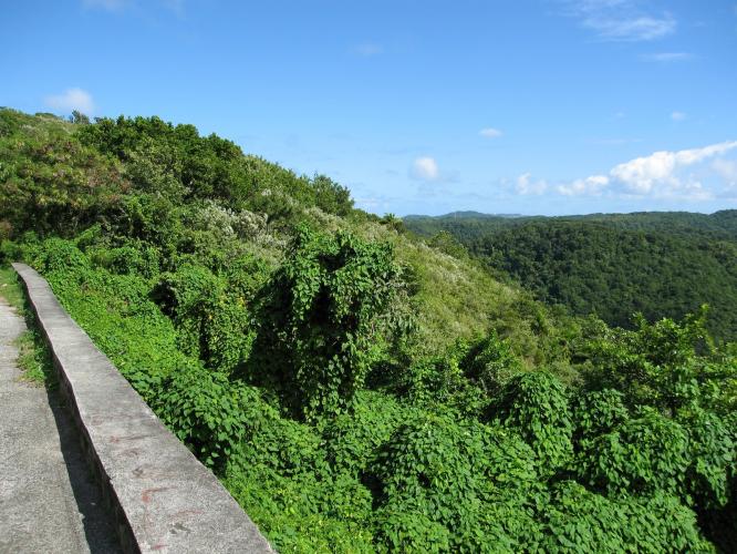 243 Acres of Caribbean Sea Beach Front Land for Sale in Saint Lucia
