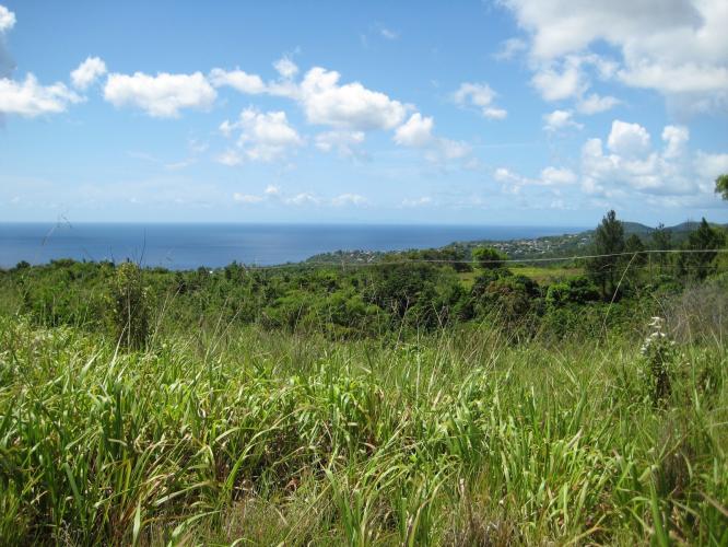 243 Acres of Caribbean Sea Beach Front Land for Sale in Saint Lucia