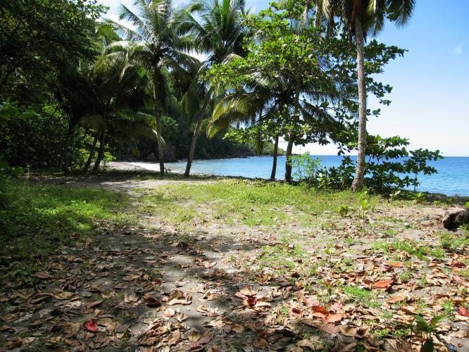 243 Acres of Caribbean Sea Beach Front Land for Sale in Saint Lucia