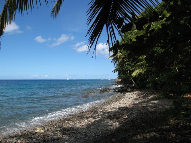 243 Acres of Caribbean Sea Beach Front Land for Sale in Saint Lucia