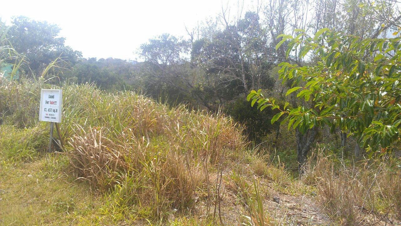 Very Gently Sloping Land for Sale at La Fargue Choiseul