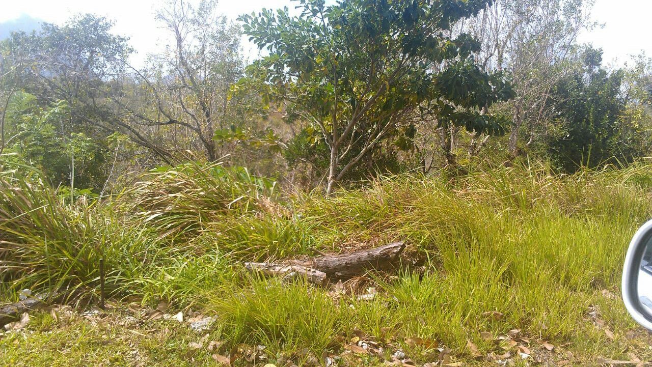 Very Gently Sloping Land for Sale at La Fargue Choiseul