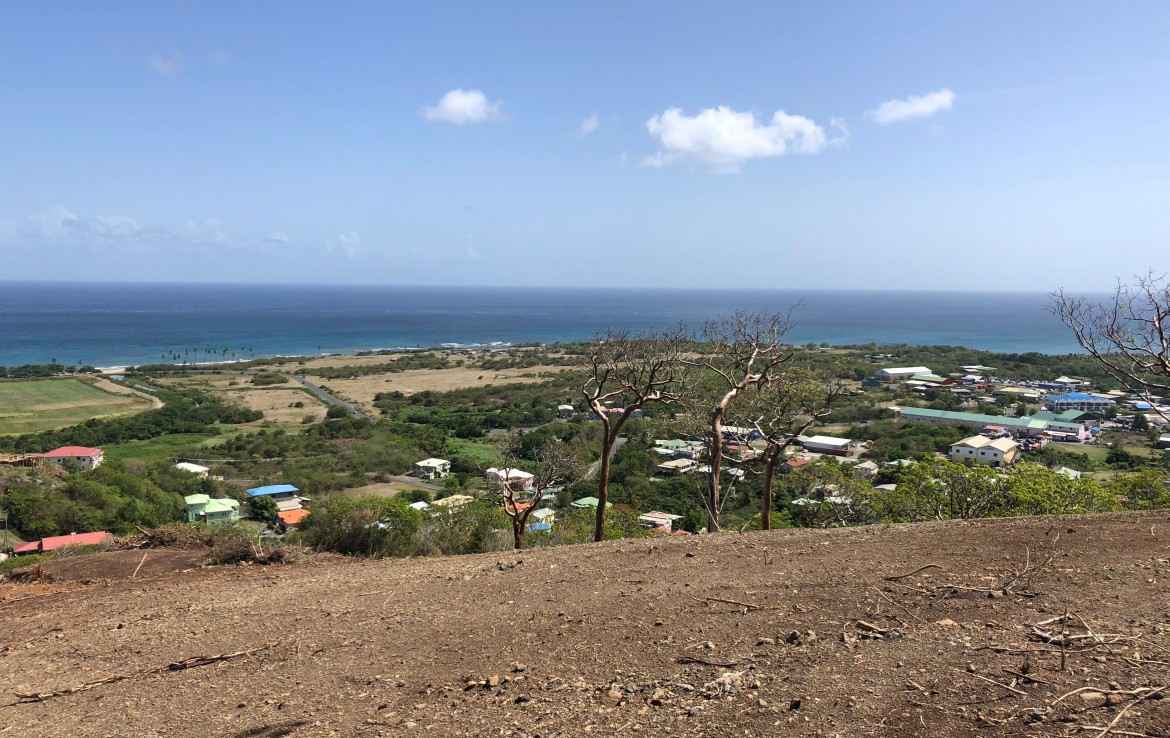 50 Lots/Land For Sale at Cedar Heights Vieux-Fort, LC