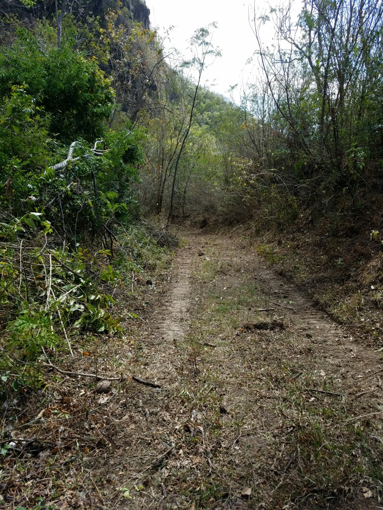 land for sale souffriere st kucia