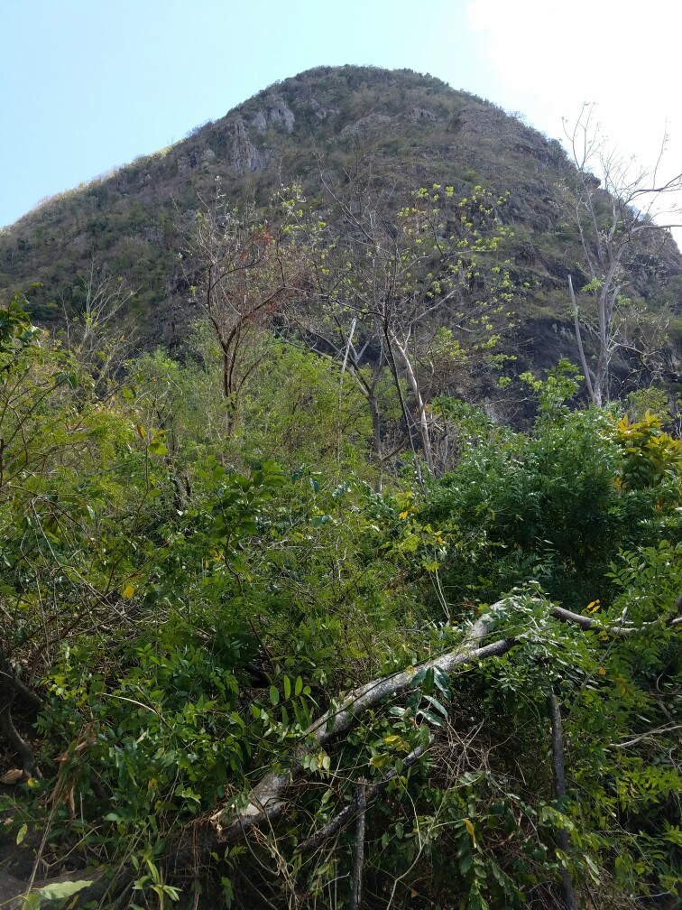 27 Acres Beach Front Land for Sale Near Sugar Beach Resort
