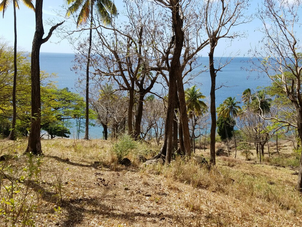 27 Acres Beach Front Land for Sale Near Sugar Beach Resort