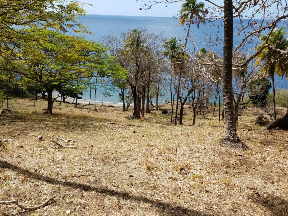27 Acres Beach Front Land for Sale Near Sugar Beach Resort