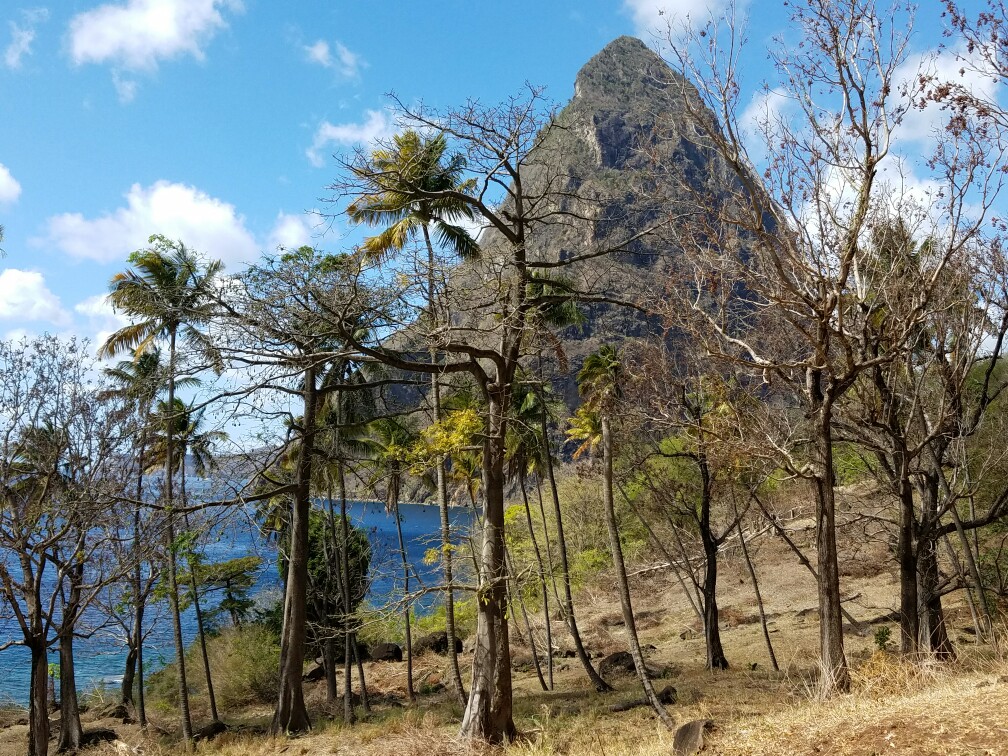 27 Acres Beach Front Land for Sale Near Sugar Beach Resort