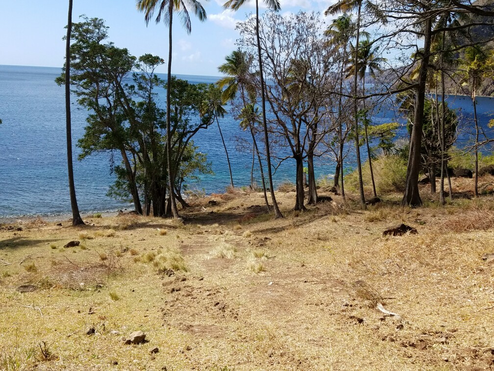 27 Acres Beach Front Land for Sale Near Sugar Beach Resort