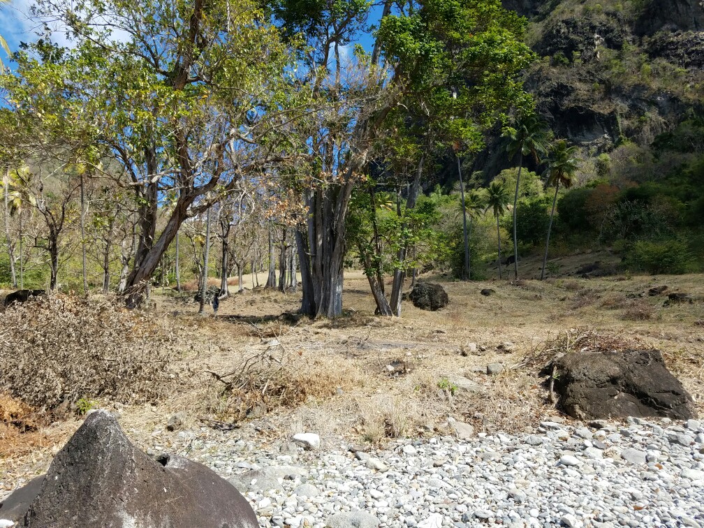 27 Acres Beach Front Land for Sale Near Sugar Beach Resort