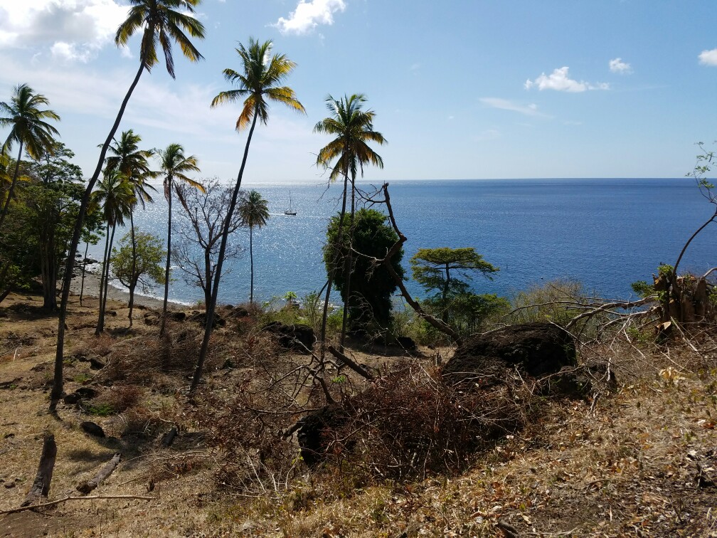 27 Acres Beach Front Land for Sale Near Sugar Beach Resort