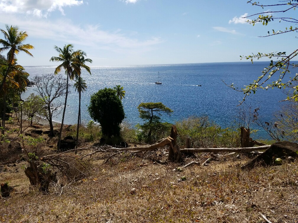 27 Acres Beach Front Land for Sale Near Sugar Beach Resort