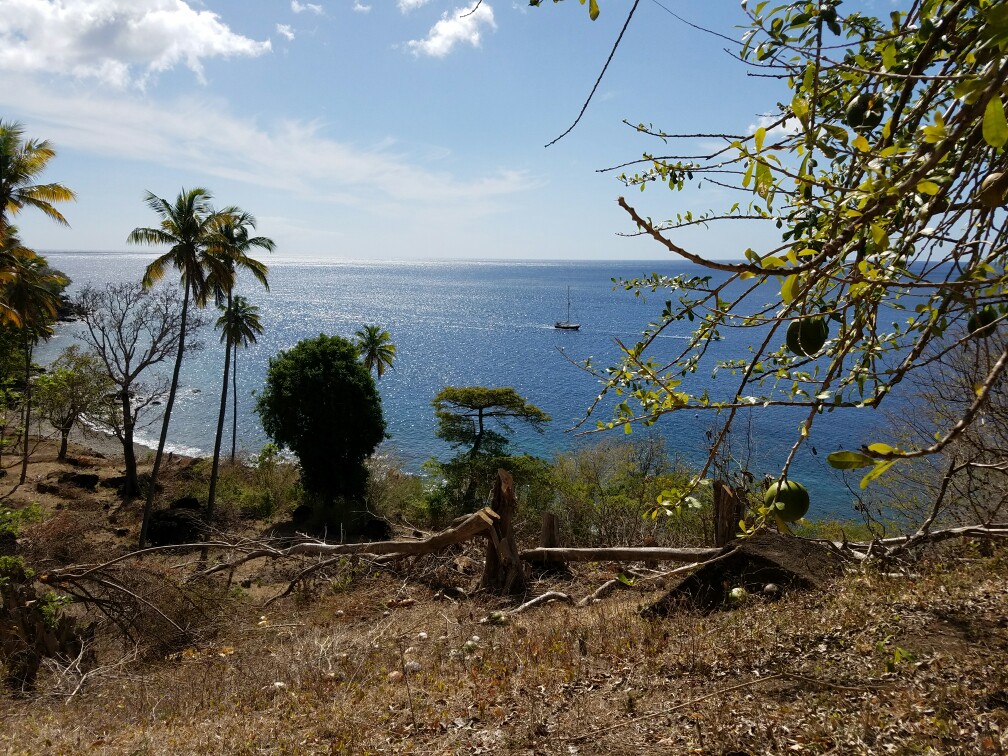 27 Acres Beach Front Land for Sale Near Sugar Beach Resort
