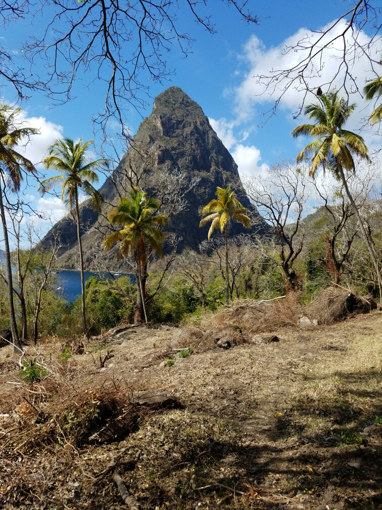 27 Acres Beach Front Land for Sale Near Sugar Beach Resort