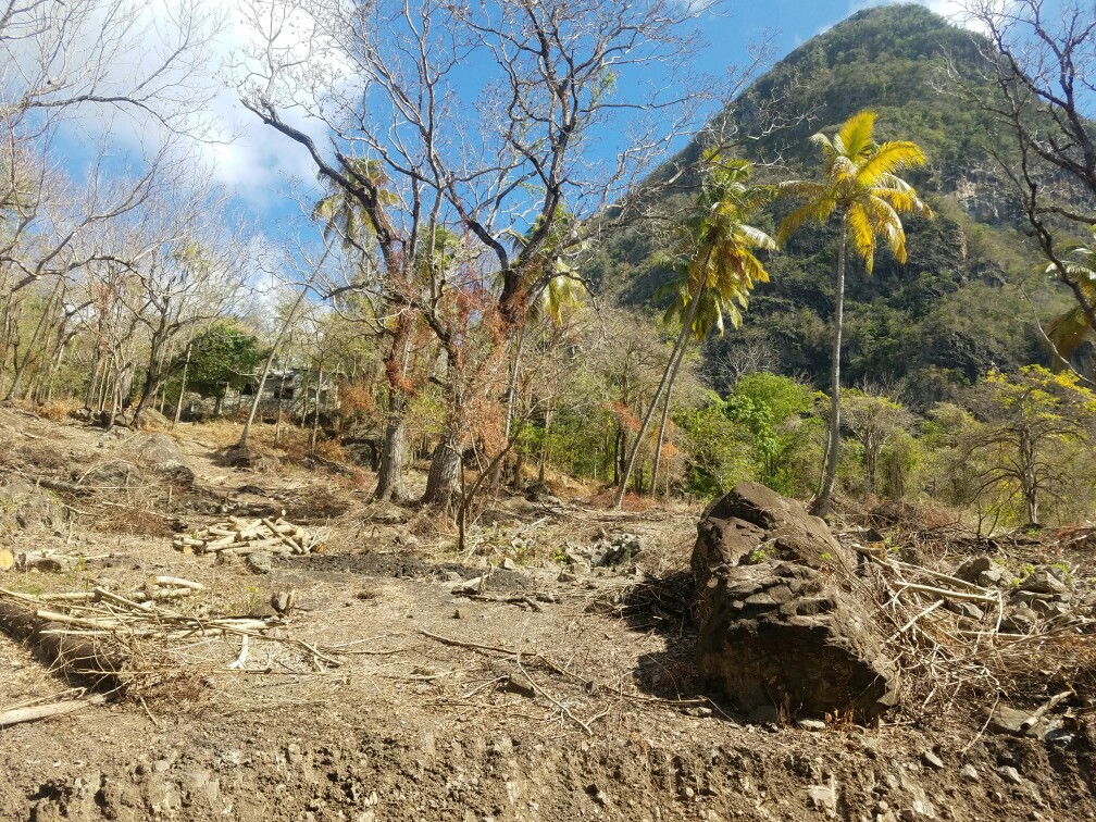 27 Acres Beach Front Land for Sale Near Sugar Beach Resort