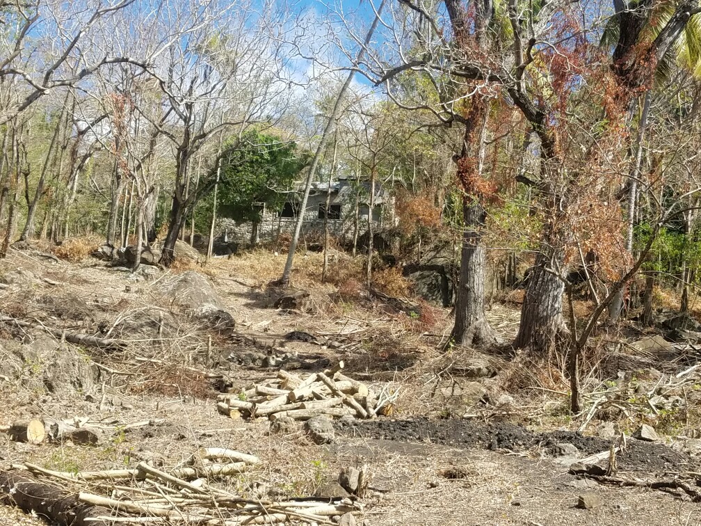 27 Acres Beach Front Land for Sale Near Sugar Beach Resort