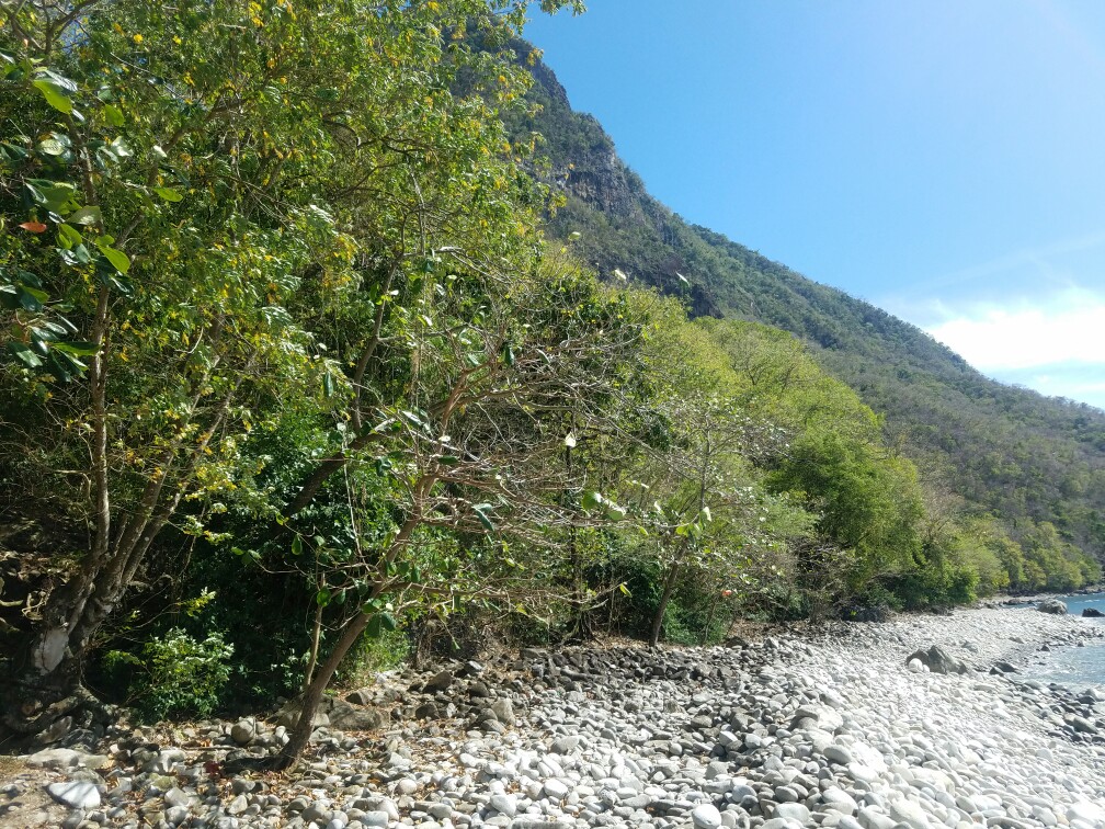 27 Acres Beach Front Land for Sale Near Sugar Beach Resort