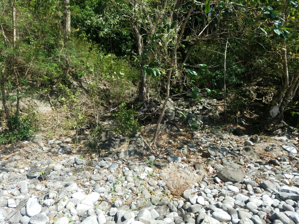 27 Acres Beach Front Land for Sale Near Sugar Beach Resort