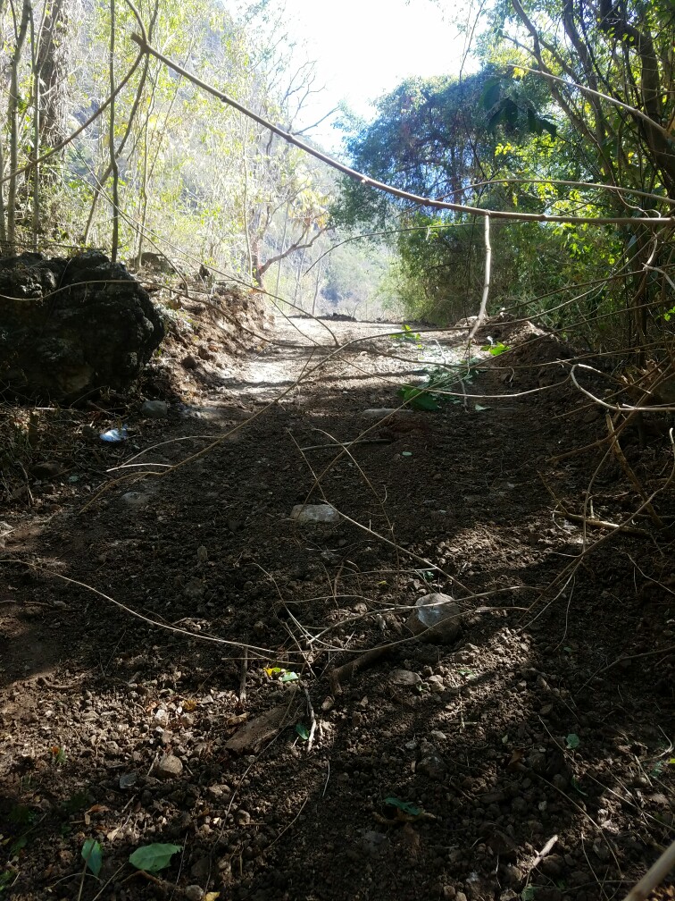 27 Acres Beach Front Land for Sale Near Sugar Beach Resort