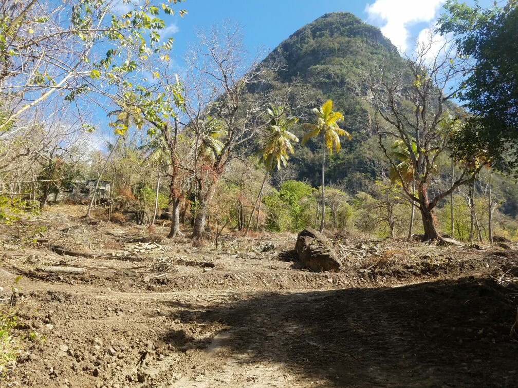 27 Acres Beach Front Land for Sale Near Sugar Beach Resort