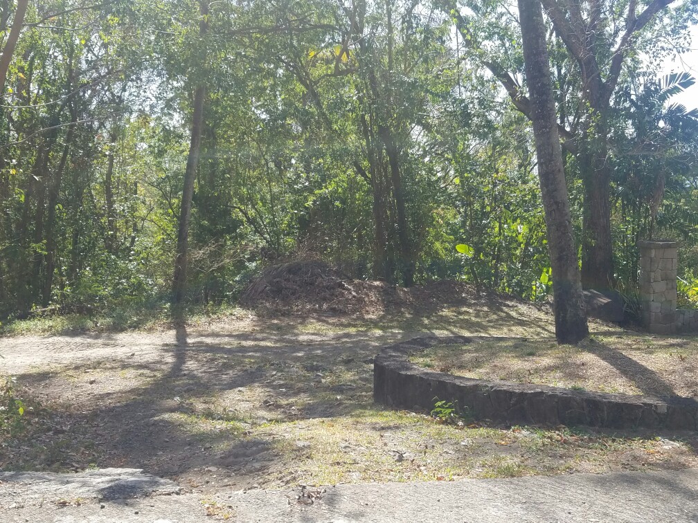 27 Acres Beach Front Land for Sale Near Sugar Beach Resort