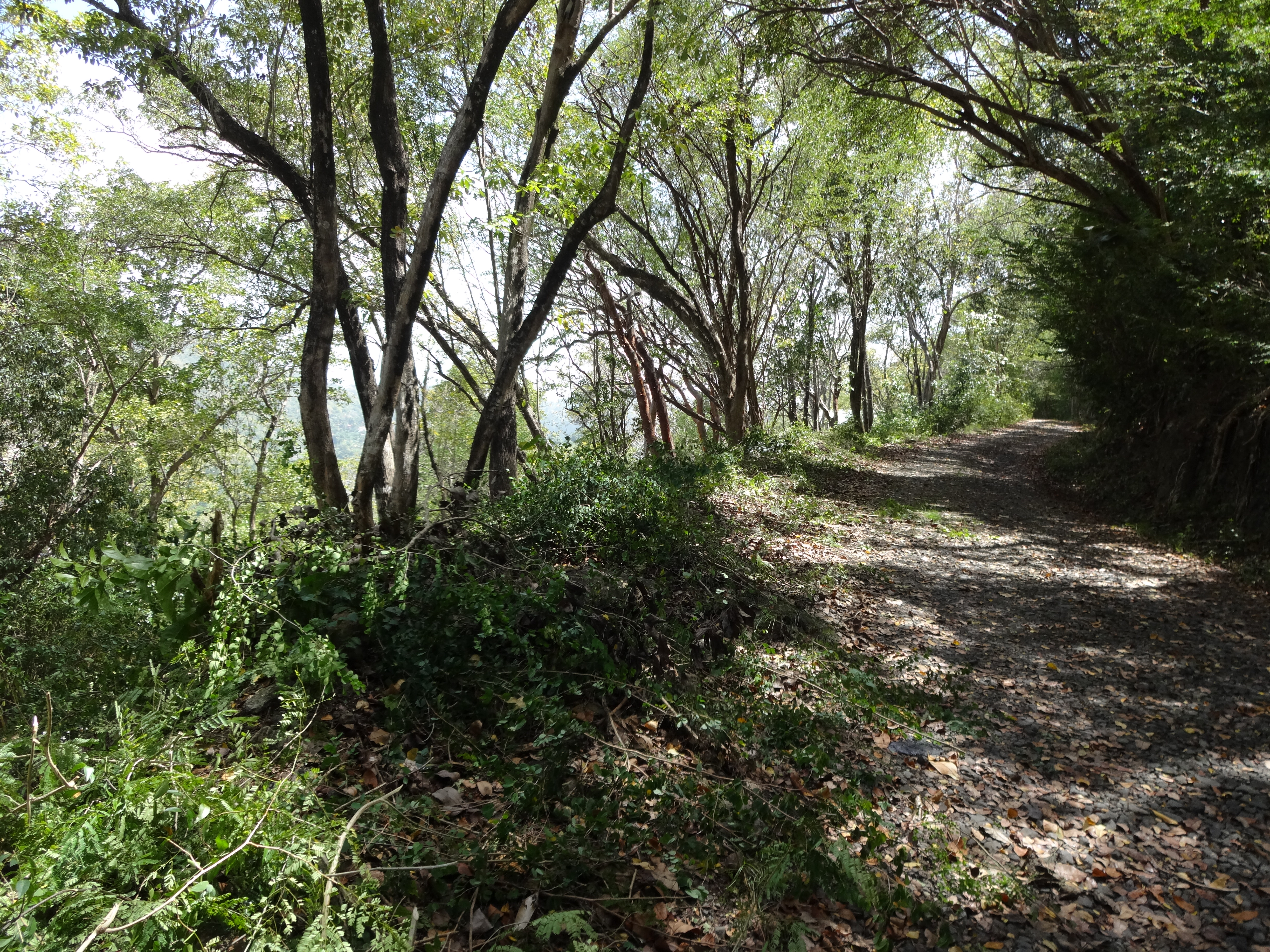 Land for Sale in Marigot overlooking the Marigot Bay harbour