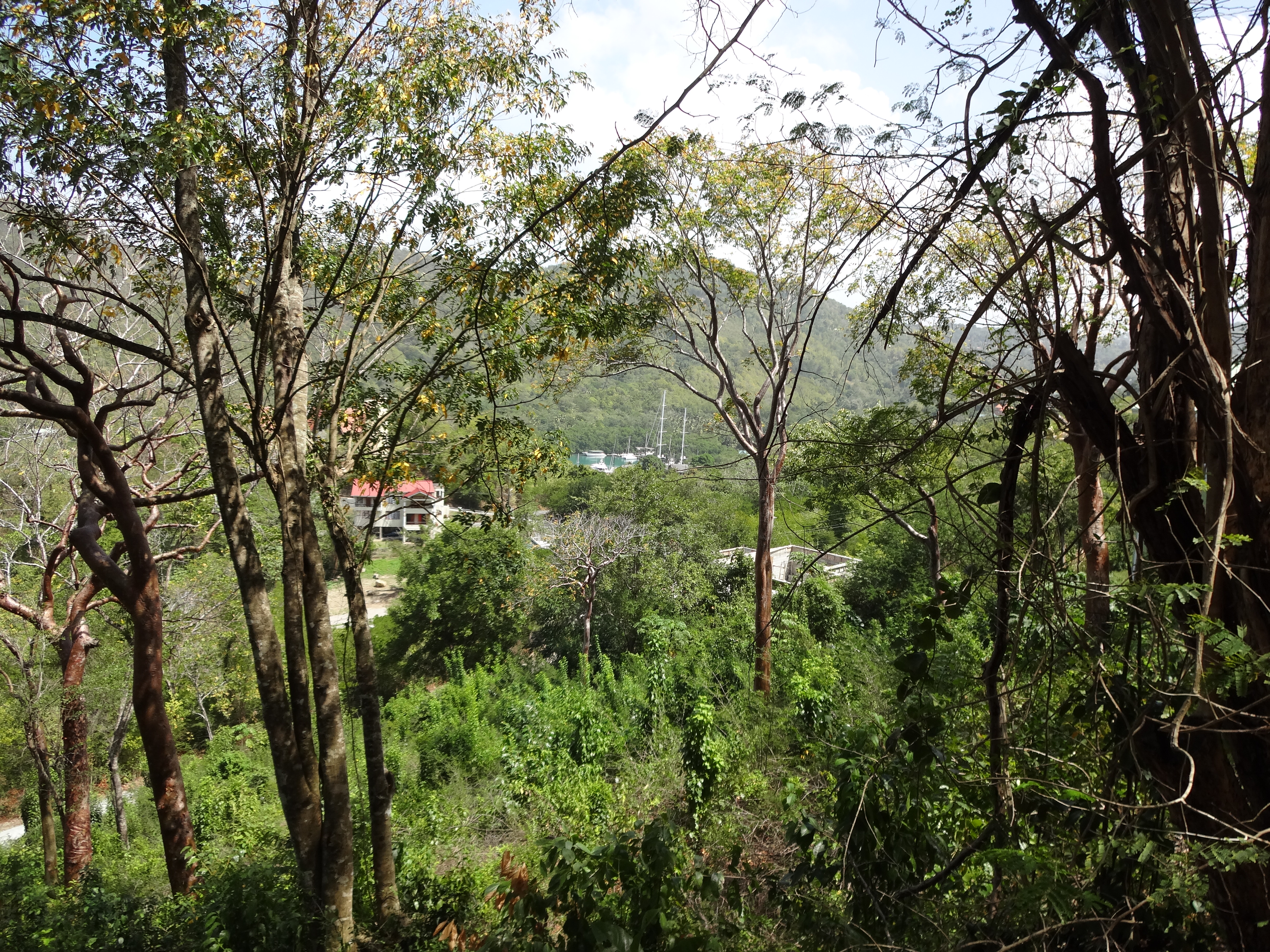 Land for Sale in Marigot overlooking the Marigot Bay harbour