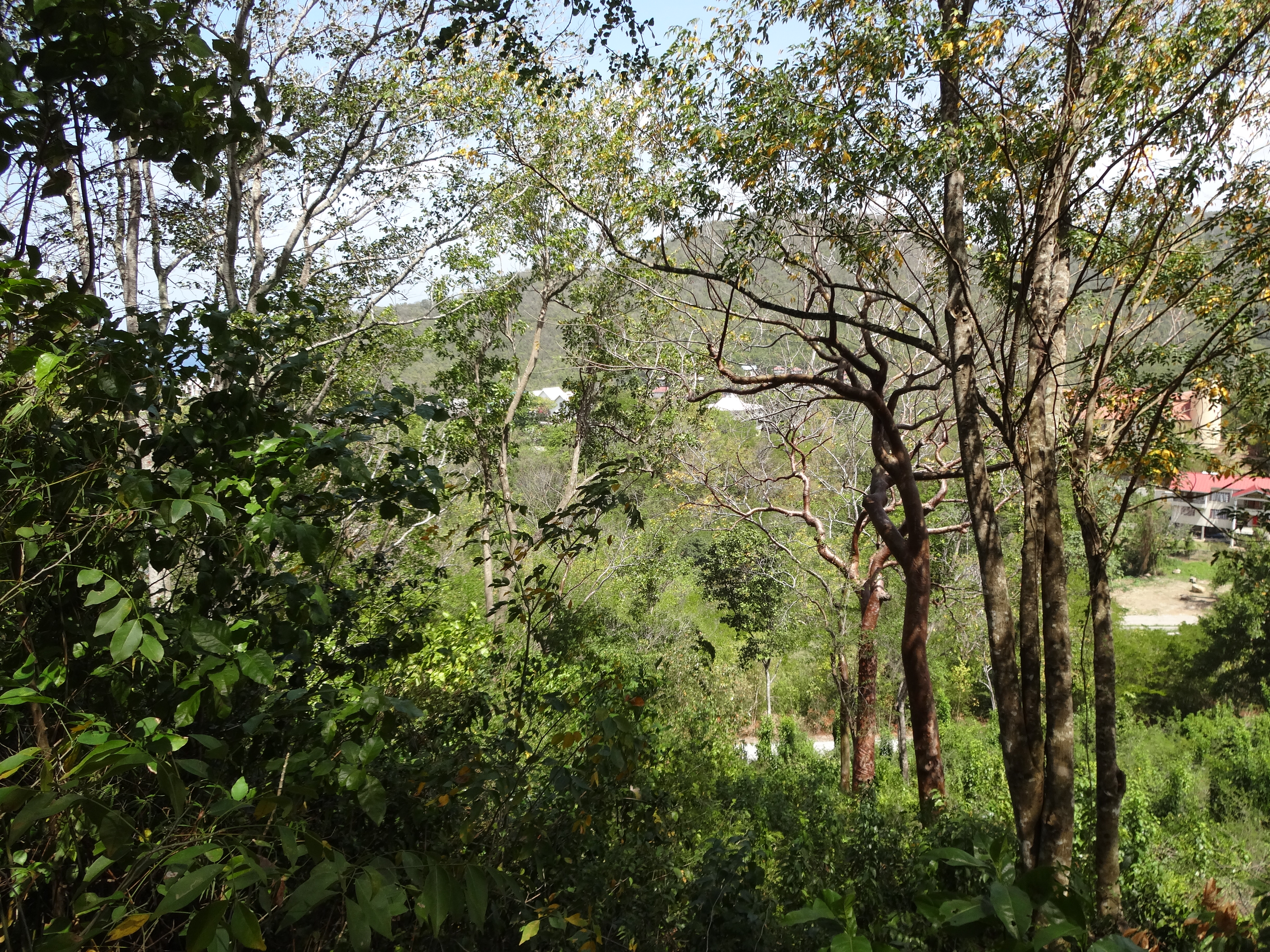 Land for Sale in Marigot overlooking the Marigot Bay harbour