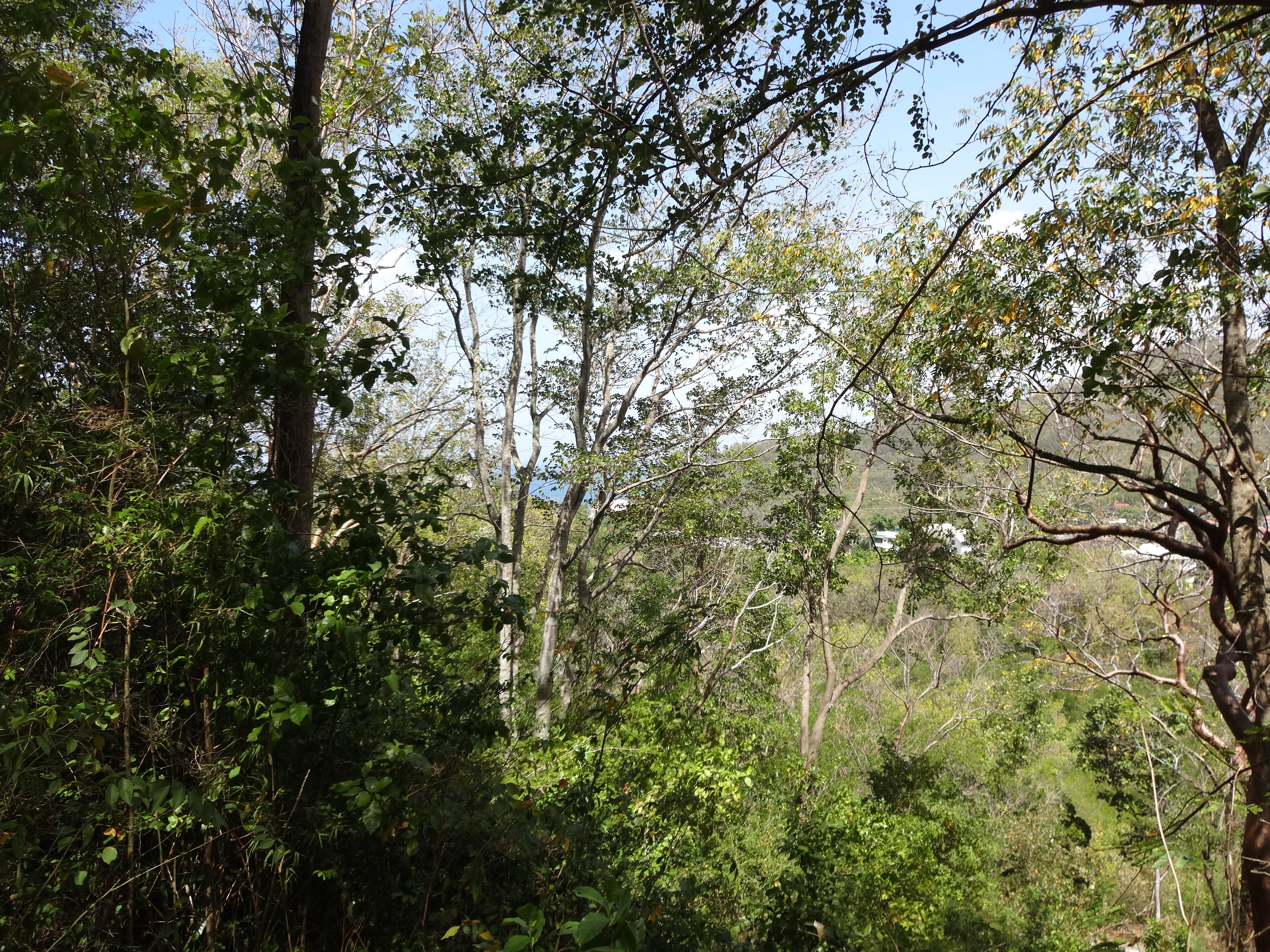 Land for Sale in Marigot overlooking the Marigot Bay harbour