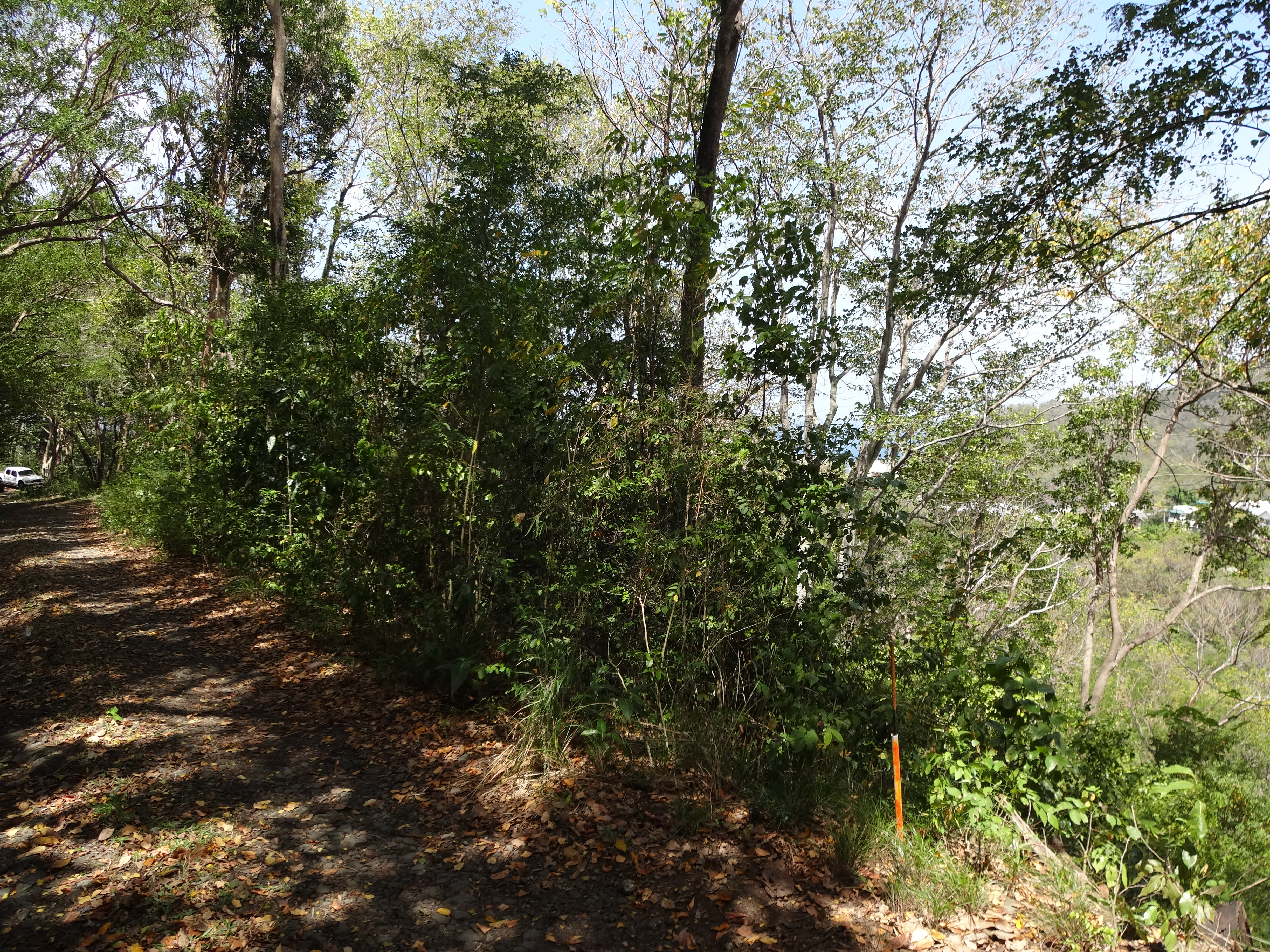 Land for Sale in Marigot overlooking the Marigot Bay harbour