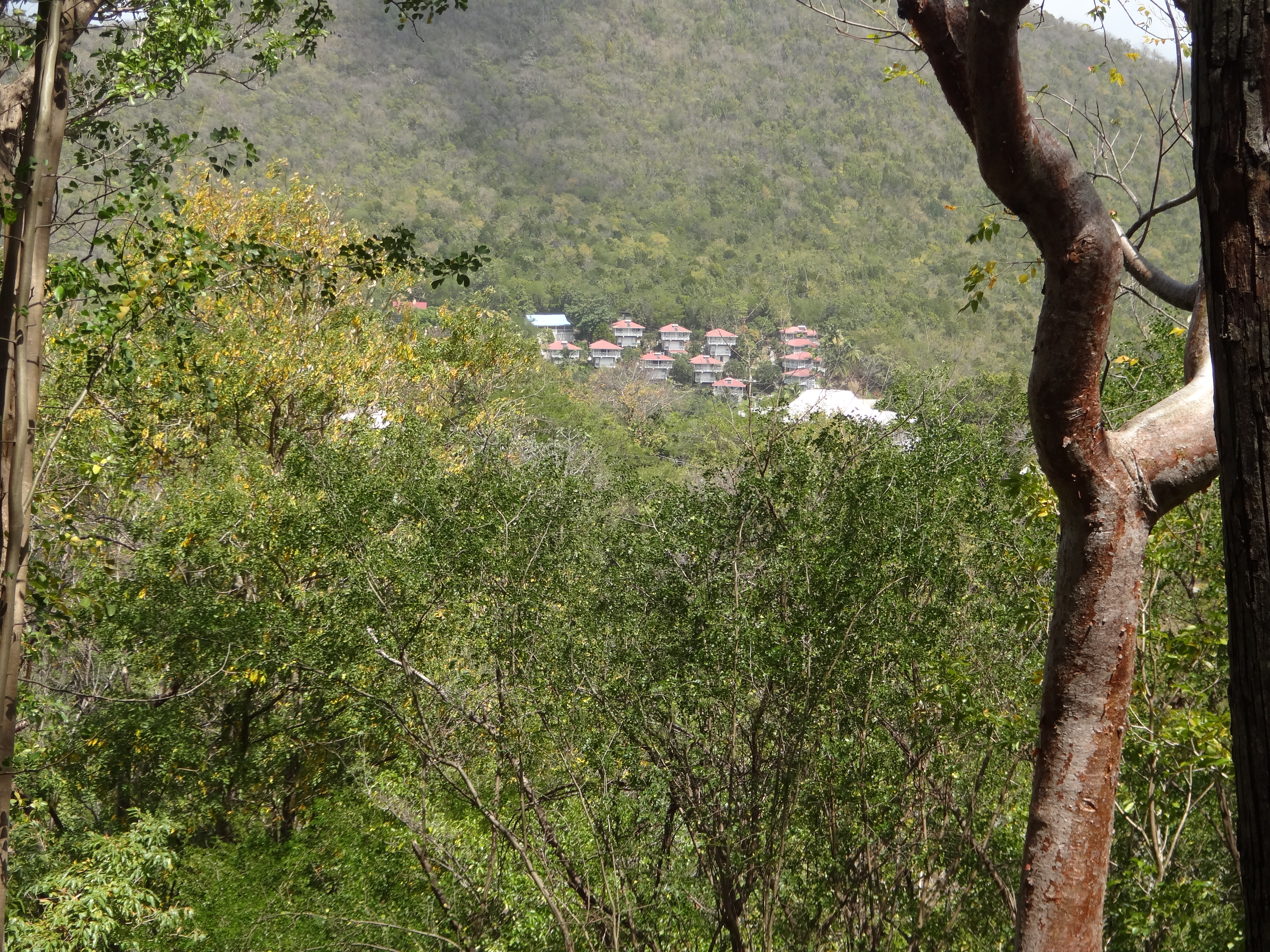 Land for Sale in Marigot overlooking the Marigot Bay harbour