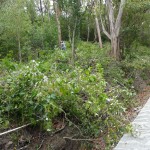 Land for Sale in Marigot overlooking the Marigot Bay harbour