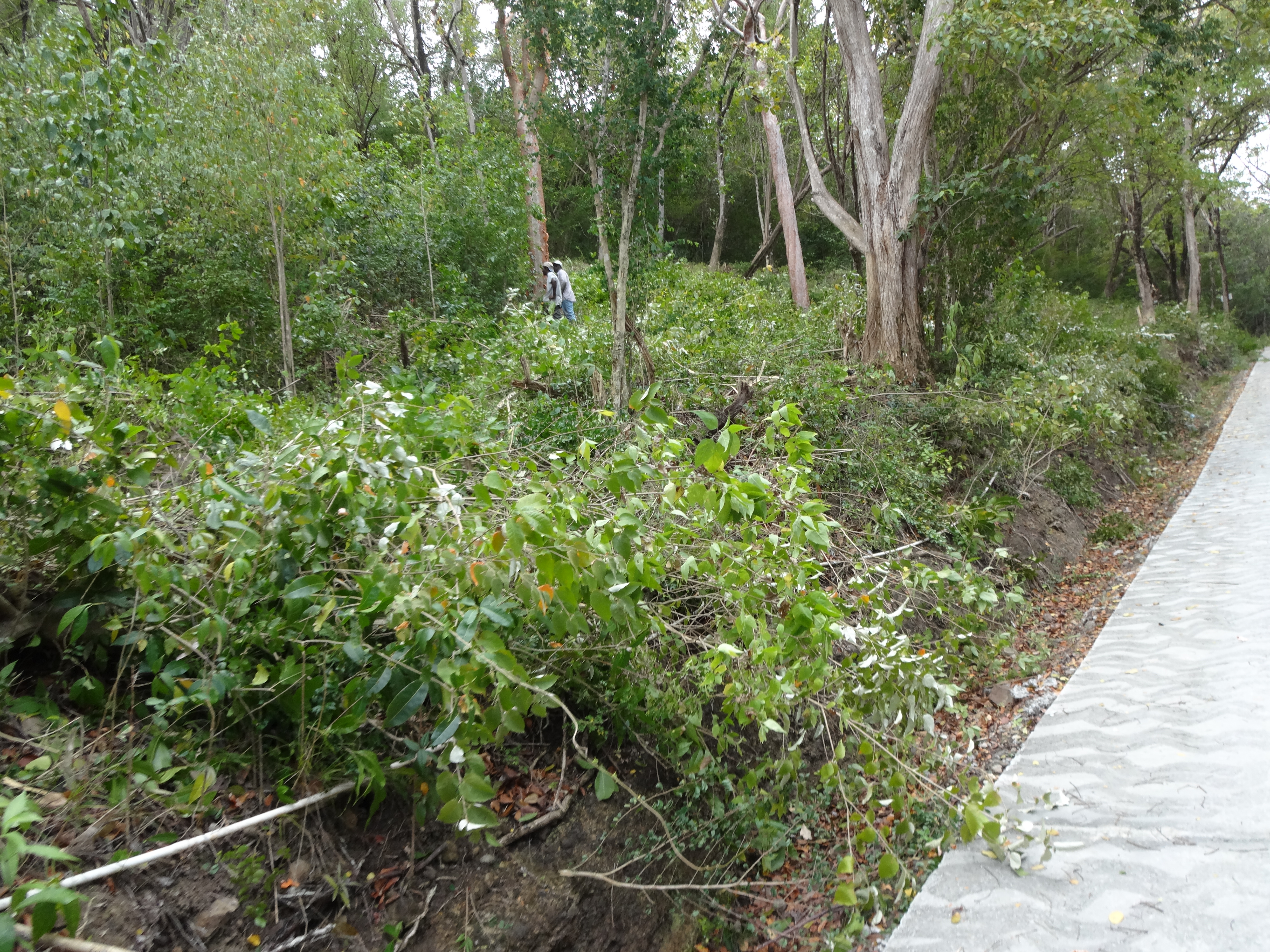 Land for Sale in Marigot overlooking the Marigot Bay harbour