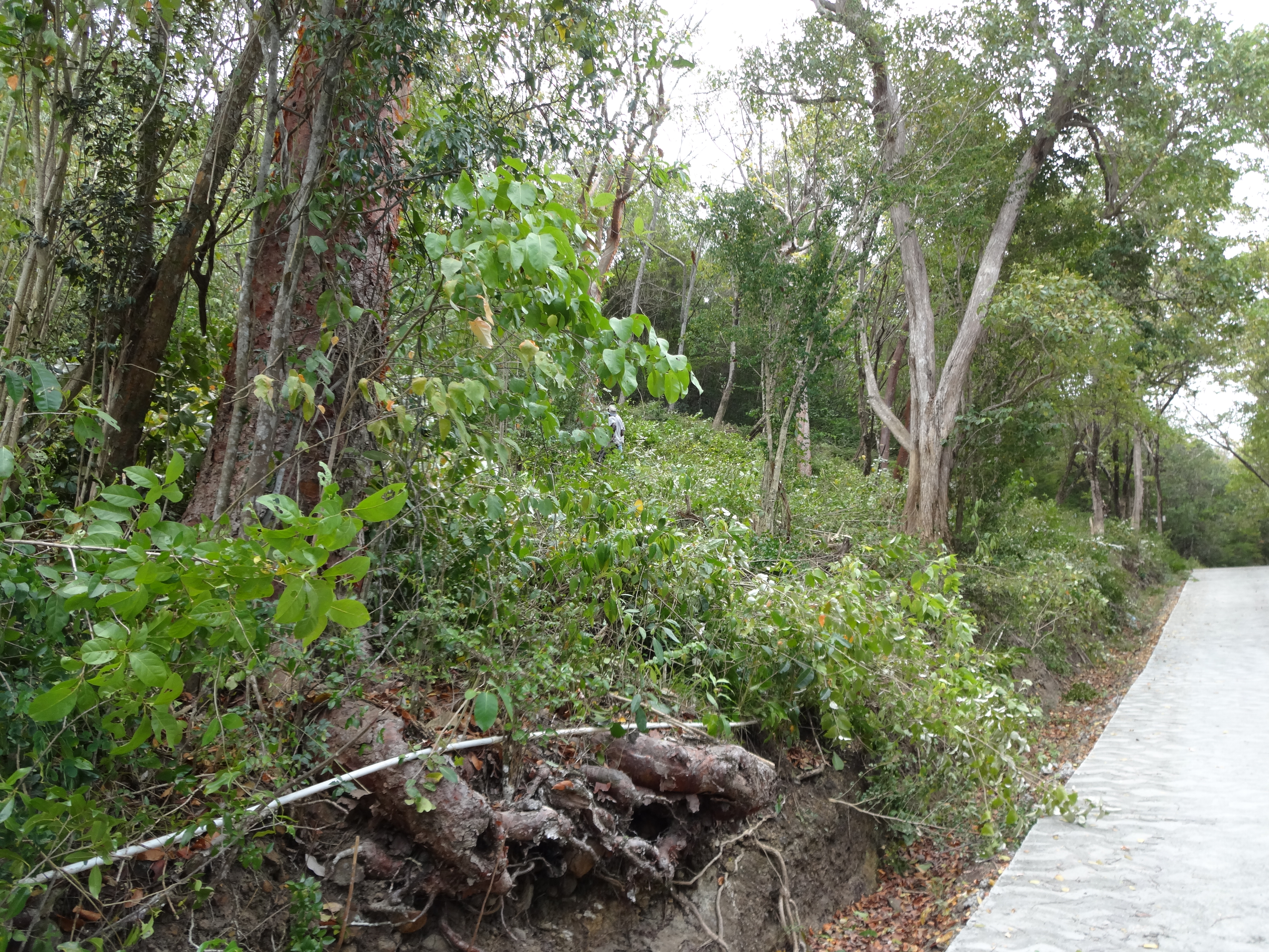 Land for Sale in Marigot overlooking the Marigot Bay harbour