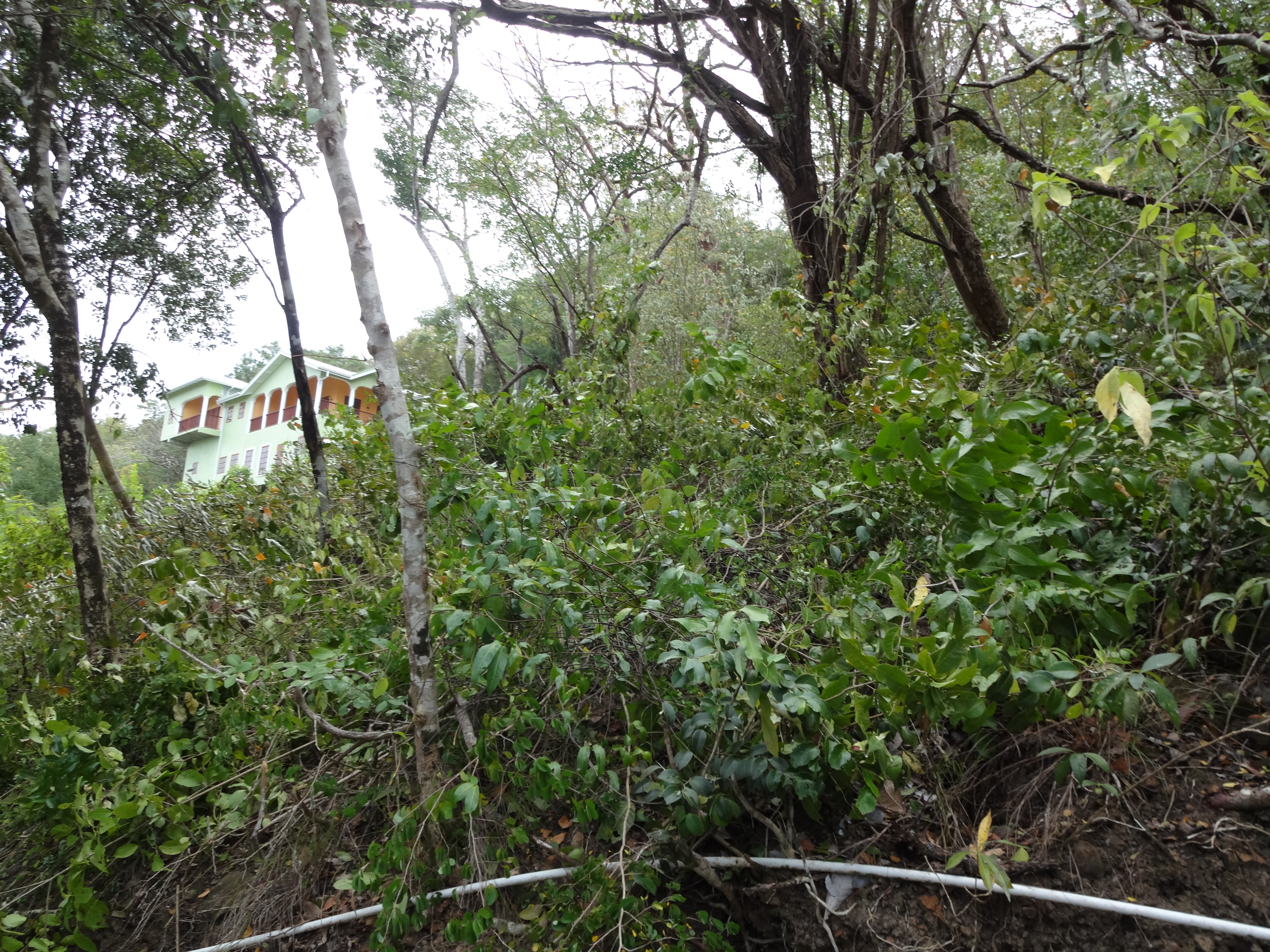 Land for Sale in Marigot overlooking the Marigot Bay harbour