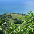 land for sale in laborie st lucia