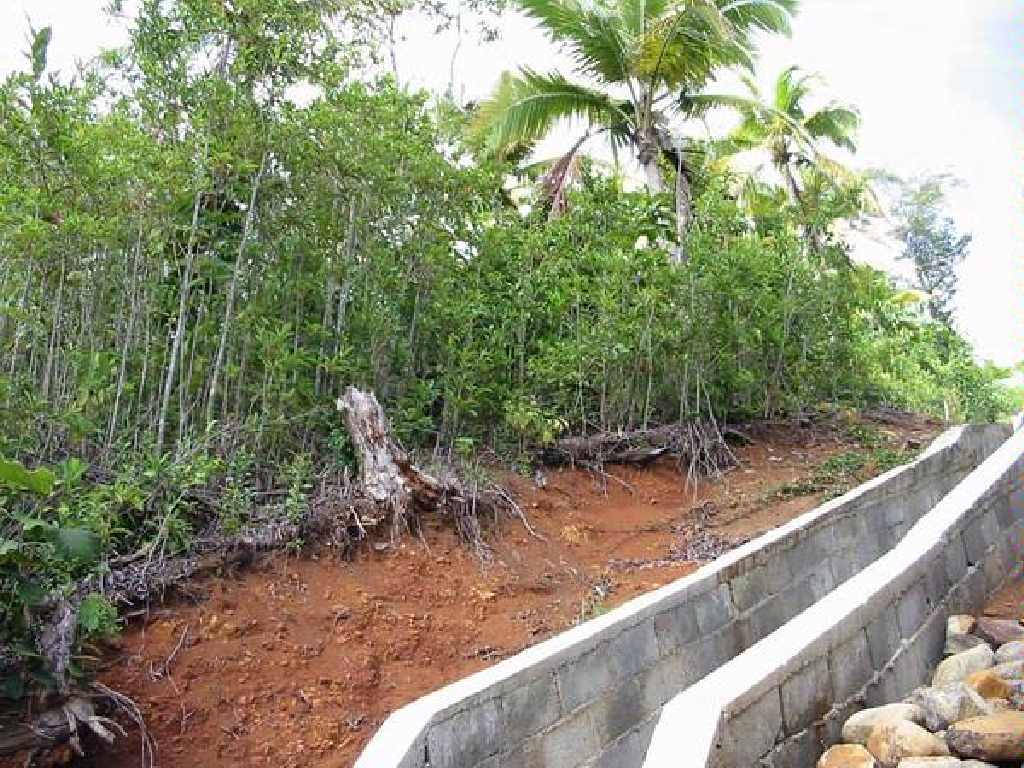 Land For Sale in Laborie St Lucia