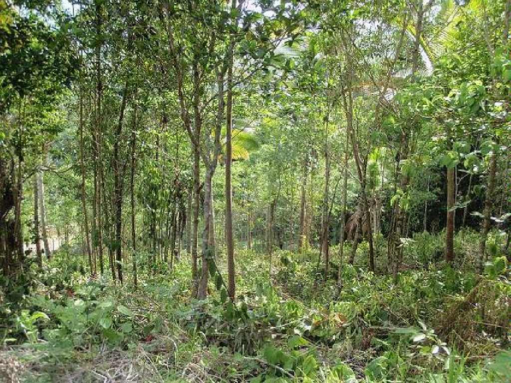 labories land for sale