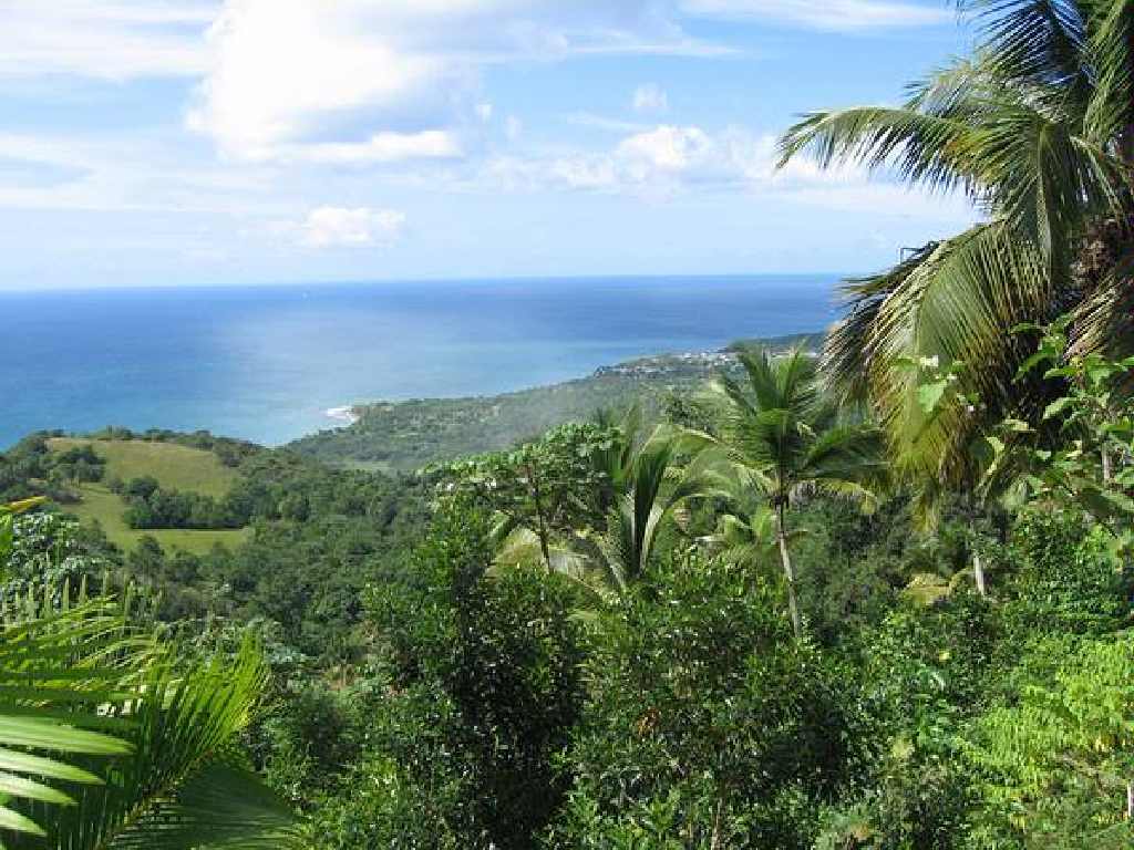 land for sale in laborie