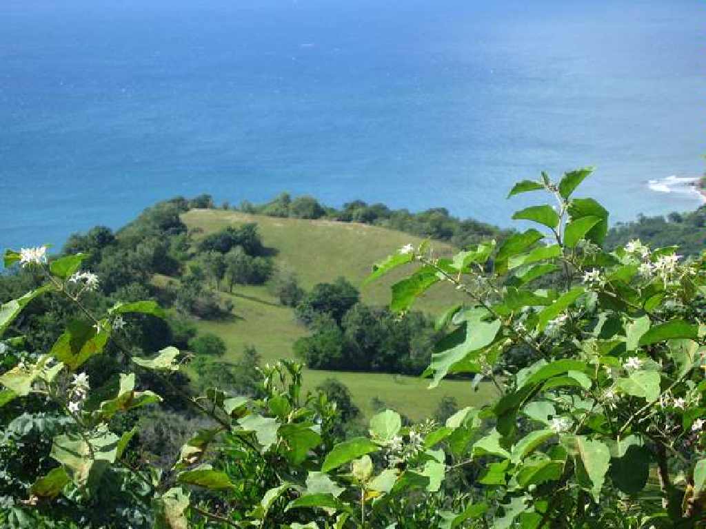 land for sale in laborie st lucia