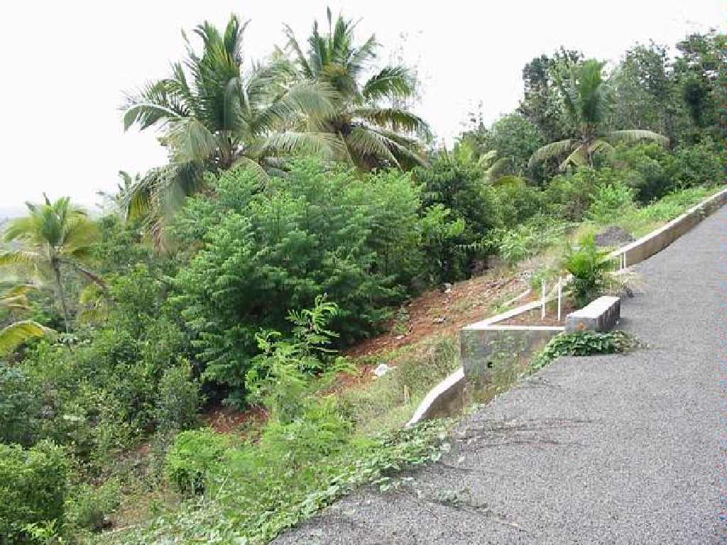 Land For Sale in Laborie St Lucia