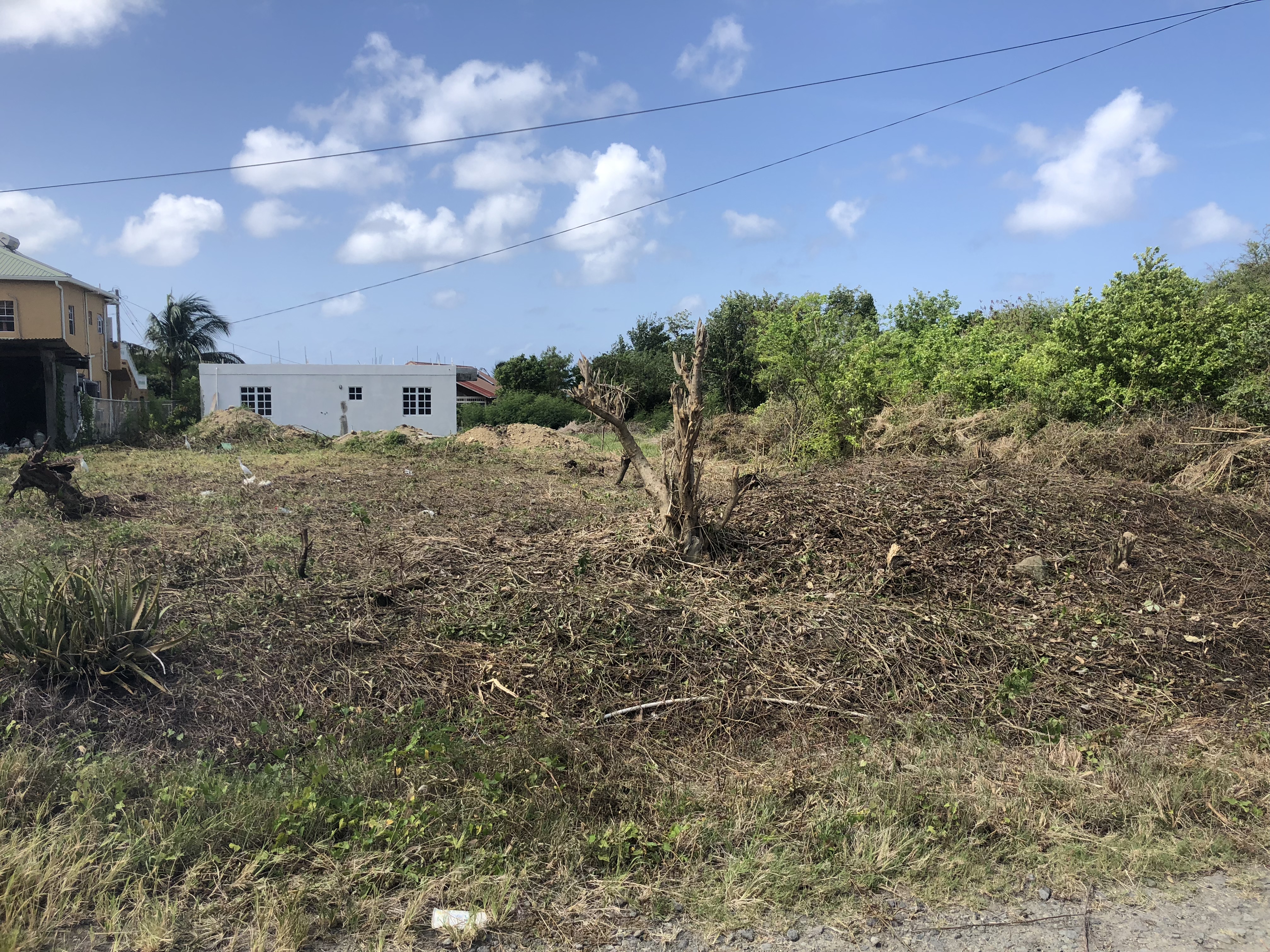 Flat Lot For Sale in Piaye Choiseul (5,127 sq ft)