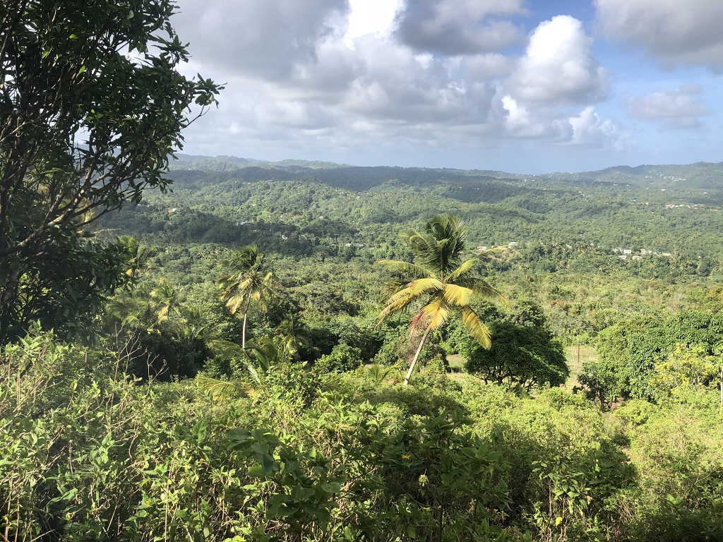 Property Deal at Morne Le Blanc, Laborie
