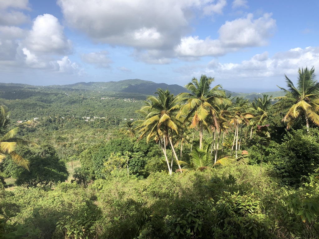 Property Deal at Morne Le Blanc, Laborie