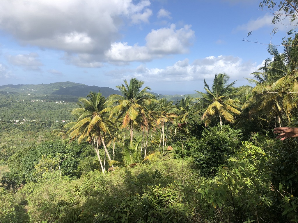 Property Deal at Morne Le Blanc, Laborie