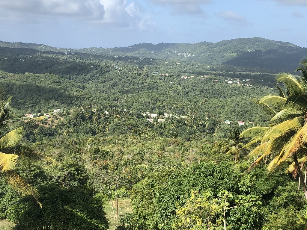 land for sale in laborie