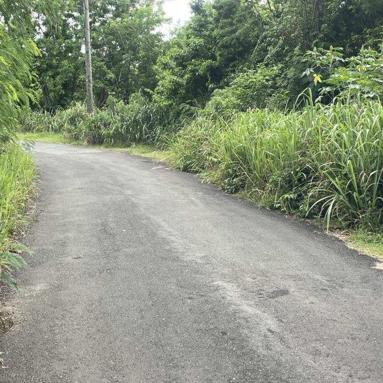 land for sale in bonne terre st lucia