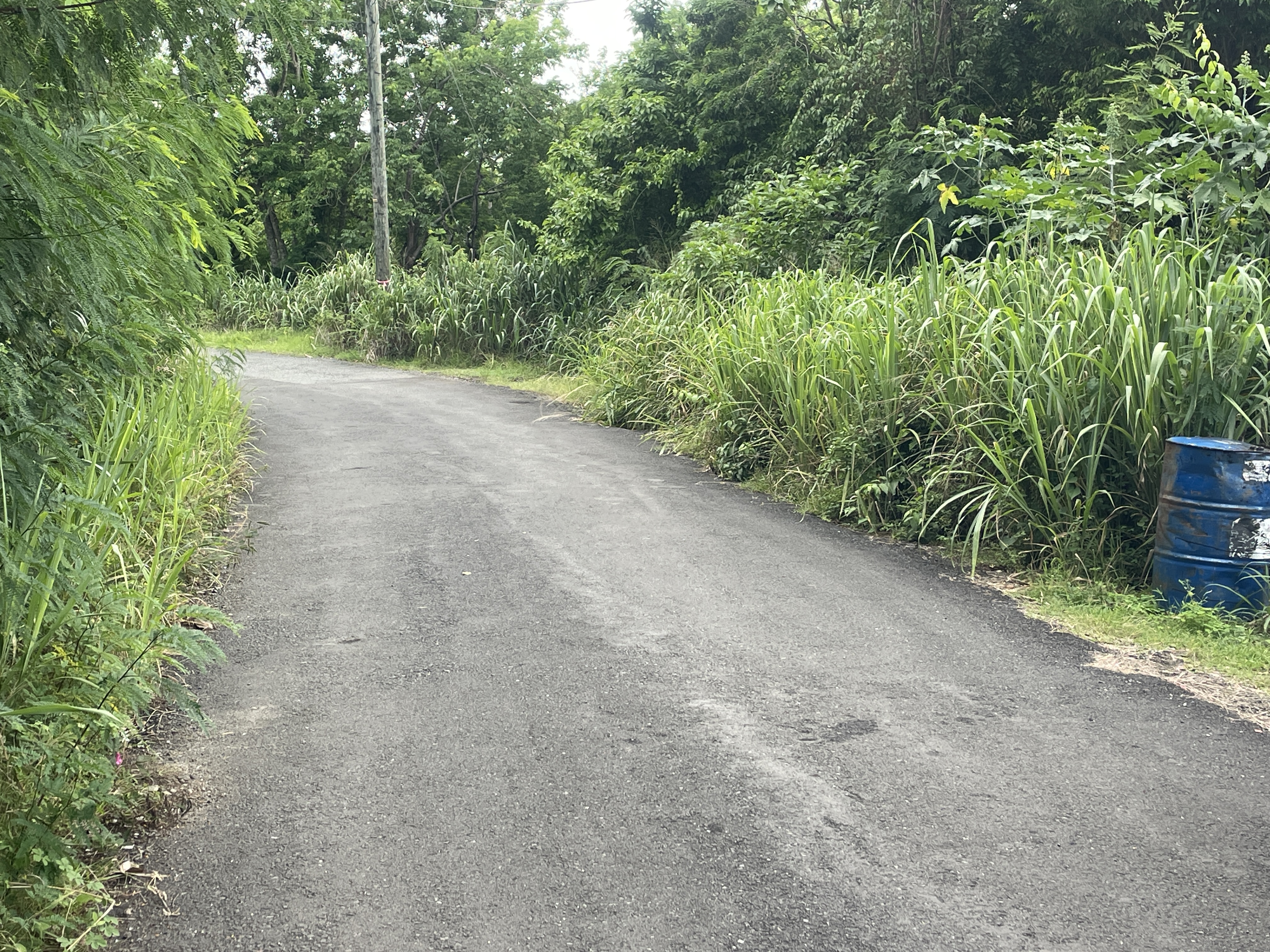 land for sale in bonne terre st lucia