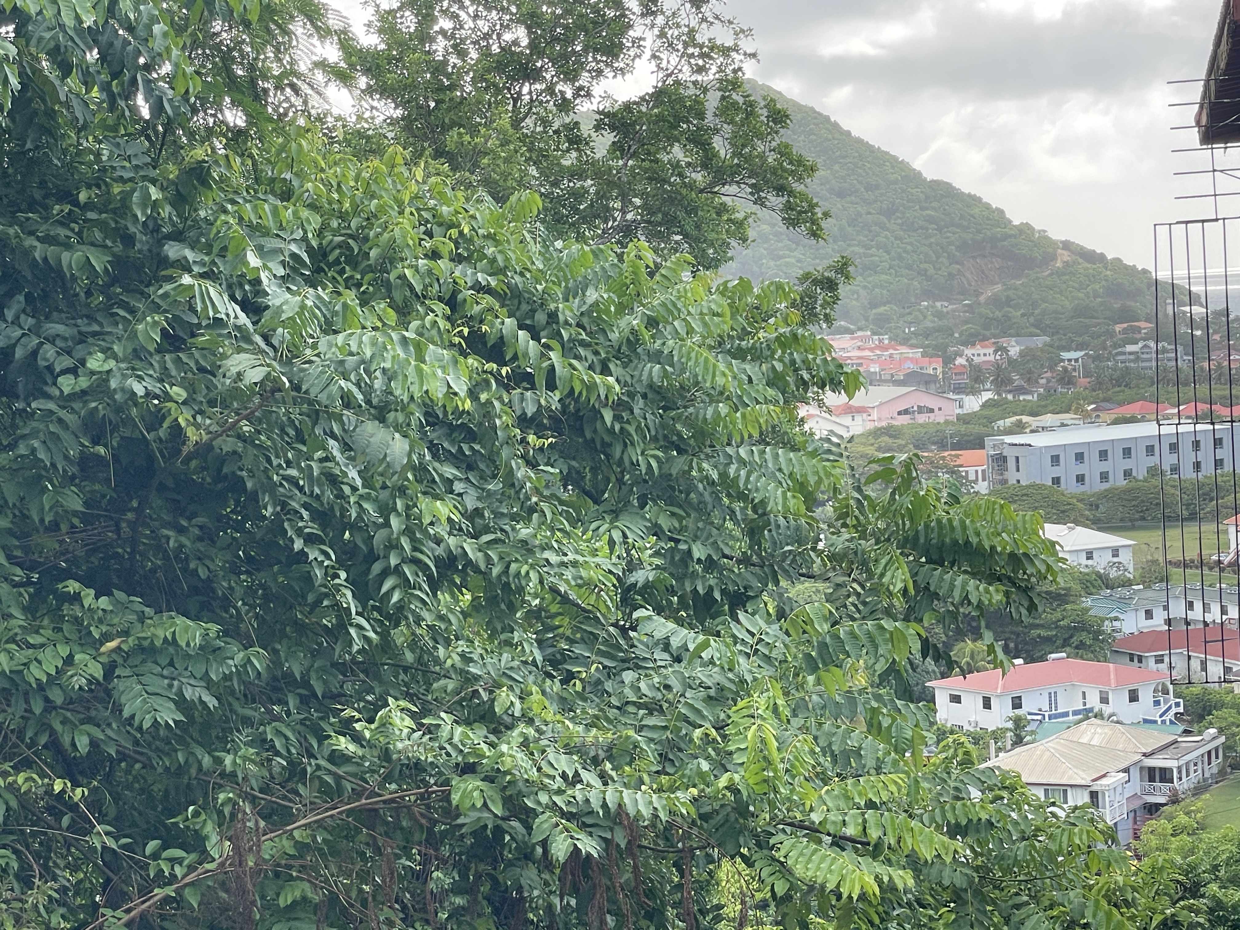 cheap apartments for rent in st lucia