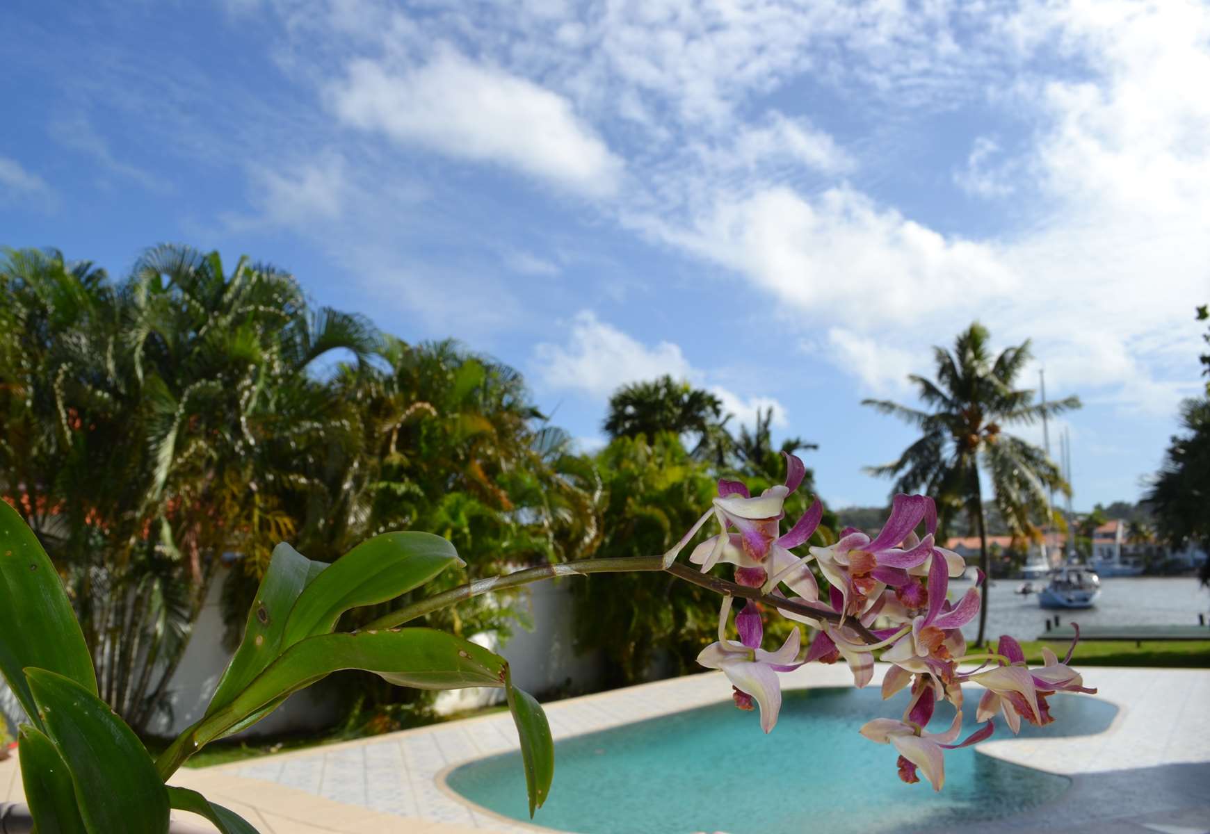 Waterfront Marina Property for Sale in Rodney Bay